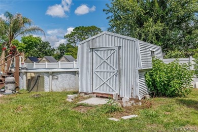 NICE 3/2/2 CONCRETE BLOCK HOME ON .47 ACRE MOL DOUBLE LOT - photo 31