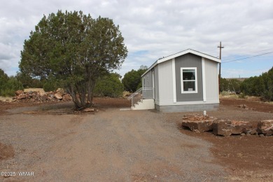 Lake Home For Sale in Show Low, Arizona