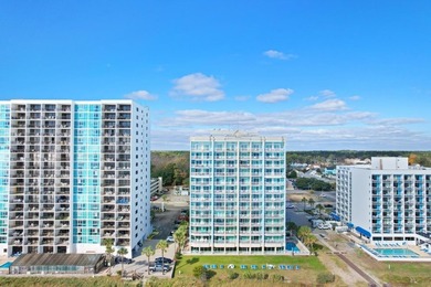 This fully furnished and freshly updated direct oeanfront - photo 33