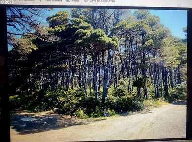 Welcome to this lovely 1/4 of an acre natural treed lot in close - photo 1