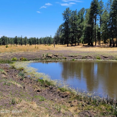 Lake Lot For Sale in Alpine, Arizona