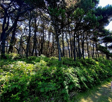 Welcome to this lovely 1/4 of an acre natural treed lot in close - photo 2