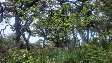 Welcome to this lovely 1/4 of an acre natural treed lot in close - photo 4