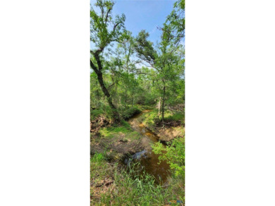  Acreage For Sale in Holland Texas