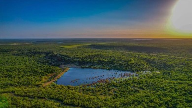 Lake O.H. Ivie Acreage For Sale in Voss Texas