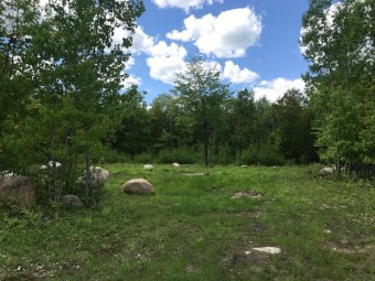 Fern Lake Acreage For Sale in Ausable Forks New York