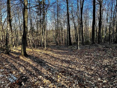 PRICE REDUCED!!!!! Discover breathtaking sunsets and serene - photo 21