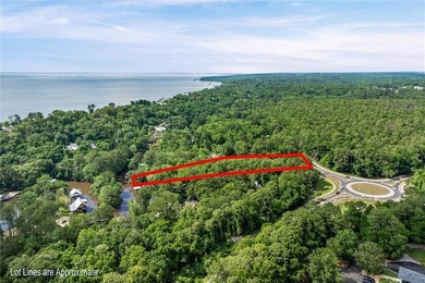 WATERFRONT - Build your dream home on this nearly 1.34 of an - photo 2