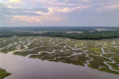 (private lake, pond, coastal) Acreage For Sale in Woodbine Georgia