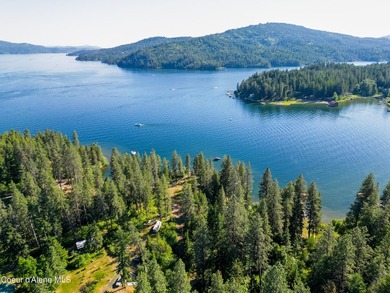 One of the most iconic waterfront parcels on Lake Coeur - photo 10