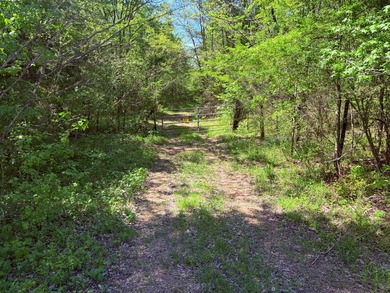 This 78+/- acre tract in Coldwater, Mississippi, offers a strong - photo 11