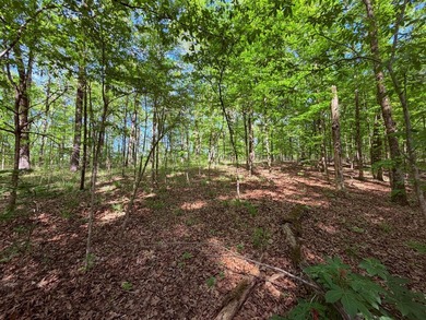 This 78+/- acre tract in Coldwater, Mississippi, offers a strong - photo 12
