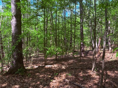 This 78+/- acre tract in Coldwater, Mississippi, offers a strong - photo 13