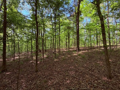 This 78+/- acre tract in Coldwater, Mississippi, offers a strong - photo 14