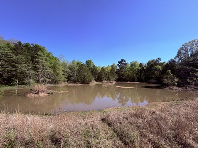 This 78+/- acre tract in Coldwater, Mississippi, offers a strong - photo 16