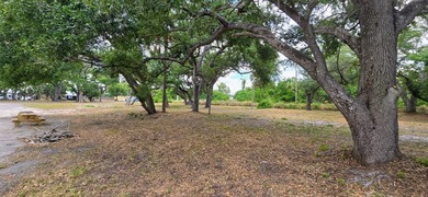 Located directly on the highly traveled Tamiami Trail (U.S. 41) - photo 17