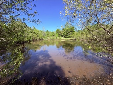 This 78+/- acre tract in Coldwater, Mississippi, offers a strong - photo 18