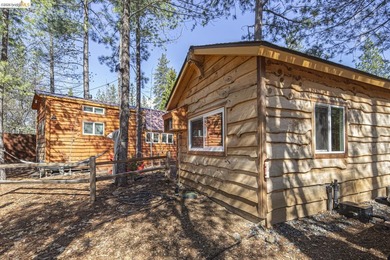Welcome to Your New Haven! Nestled on a peaceful, forested road - photo 19