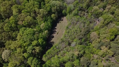 This 78+/- acre tract in Coldwater, Mississippi, offers a strong - photo 21