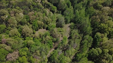 This 78+/- acre tract in Coldwater, Mississippi, offers a strong - photo 22