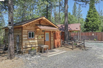 Welcome to Your New Haven! Nestled on a peaceful, forested road - photo 27