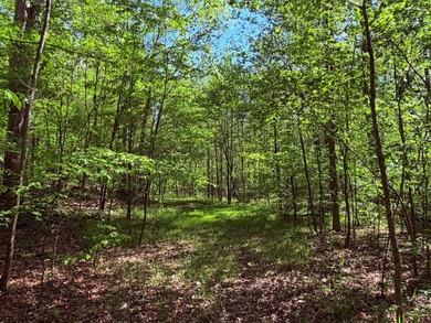 This 78+/- acre tract in Coldwater, Mississippi, offers a strong - photo 28