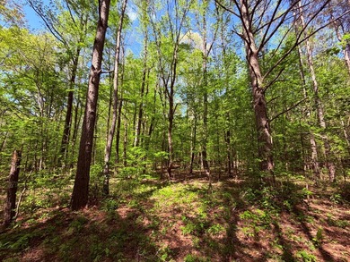 This 78+/- acre tract in Coldwater, Mississippi, offers a strong - photo 29