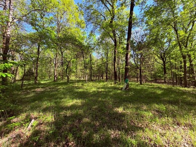 This 78+/- acre tract in Coldwater, Mississippi, offers a strong - photo 30