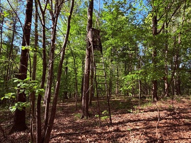 This 78+/- acre tract in Coldwater, Mississippi, offers a strong - photo 31