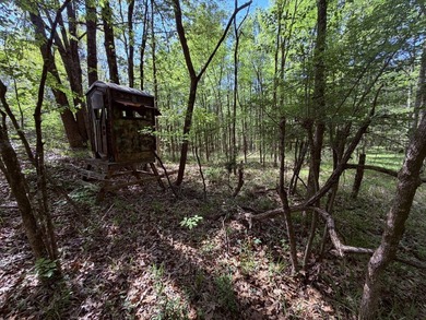 This 78+/- acre tract in Coldwater, Mississippi, offers a strong - photo 32