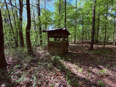 This 78+/- acre tract in Coldwater, Mississippi, offers a strong - photo 33