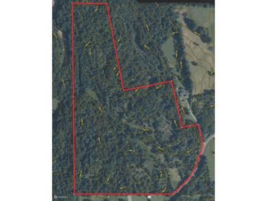 This 78+/- acre tract in Coldwater, Mississippi, offers a strong - photo 34