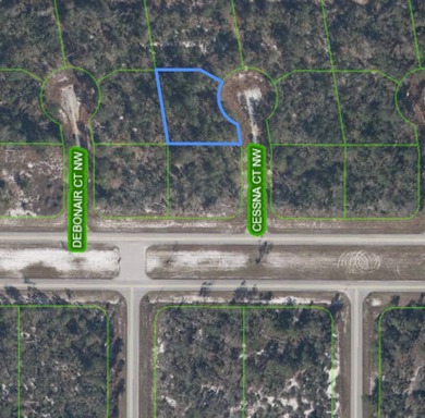 Lake Placid - Highland County Lot For Sale in Lake Placid Florida