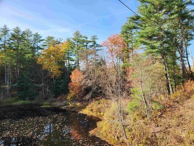 Beautiful building lot with over 200ft on the Soucook River! - photo 1