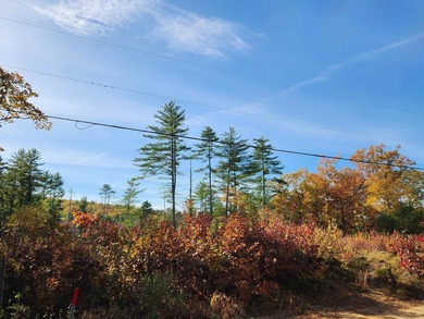 Beautiful building lot with over 200ft on the Soucook River! - photo 2
