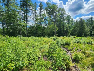 Beautiful building lot with over 200ft on the Soucook River! - photo 6