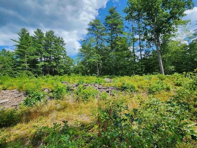 Beautiful building lot with over 200ft on the Soucook River! - photo 7