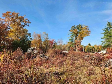 Beautiful building lot with over 200ft on the Soucook River! - photo 8