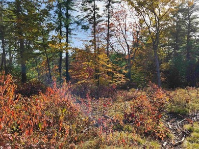 Beautiful building lot with over 200ft on the Soucook River! - photo 9
