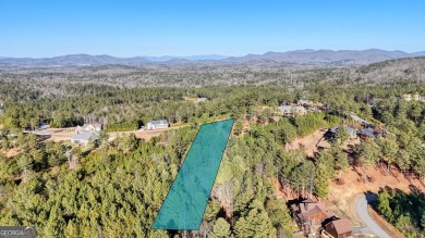 Lake Acreage For Sale in Blairsville, Georgia