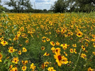 Lake Brownwood Lot For Sale in Brownwood Texas