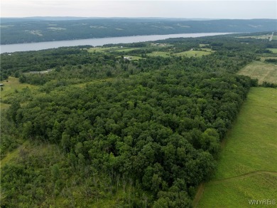 Keuka Lake Acreage For Sale in Pulteney New York