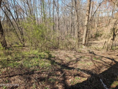 Norris Lake Lot Sale Pending in Rocky Top Tennessee