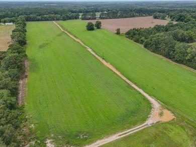 EXECPTIONAL 156.22-acre property offering country living - photo 11