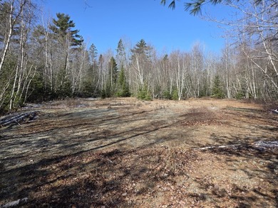 Prime 6.42-acre property conveniently located near downtown - photo 1