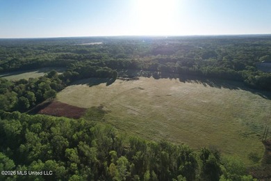 White Oak 266 is a 266+/- acre tract in Hinds County right on - photo 12