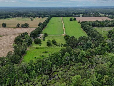 EXECPTIONAL 156.22-acre property offering country living - photo 13
