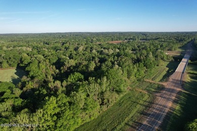 White Oak 266 is a 266+/- acre tract in Hinds County right on - photo 14
