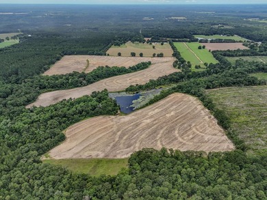 EXECPTIONAL 156.22-acre property offering country living - photo 15