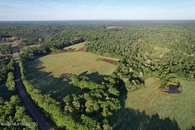White Oak 266 is a 266+/- acre tract in Hinds County right on - photo 15
